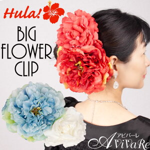 [ rbOt[Nbv KS-GD063-3450 wAANZT[ wANbv t t_X 傫  tH[} Xe[W t[ Nbv RT[W ؂₩ ڗ