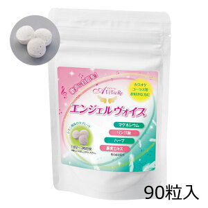 [ GWFHCX 90 [Z0520] Tvg Tv ^ubg ̂ PA A ̂ǈ ێ  S_  JIP R[X Xe[W