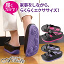 体幹筋シェイプスリムサンダル [Z0904] ダイエットサンダル 美容 健康 健康サンダル フィットネス スリッパ サンダル ダイエット フィットネス用品 シェイプアップ 引き締め 美脚 体幹筋 体幹トレーニング 室内履き オフィス 足 バランスサンダル