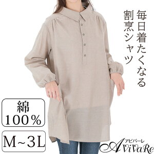 [y݌ɌzȂ銄BVc [Z3103] B  Gv XbN fB[X Vc n Vv ۂ [EFA 100 Rbg i` v[