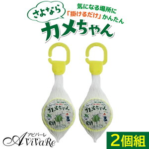 ȂJ |^Cv 2g [Z3141]JV ΍ x_  JV  Q ߂ނ  nbJ ~g 悯