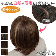 即納★ ちょびっと白髪隠しウィッグ [Z3366] ヘアウィッグ 部分ウィッグ 頭頂部 つむじ 白髪 ヘアピース …
