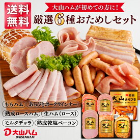 大山ハム おためしバラエティセットB（OT-5）876g 自宅用 お取り寄せ ご褒美 ホームパーティ おためし 送料無料