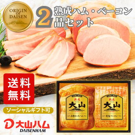 【本日ポイント10倍】ハム ギフト お中元『伝統の逸品』ハムギフト2種詰め合わせ（OR-24）500g 夏ギフト 御中元 ギフト ハムギフト 詰め合わせ 内祝 お返し 誕生日 贈答 贈り物 手土産 お歳暮 お取り寄せ 大山ハム 大山ハム公式