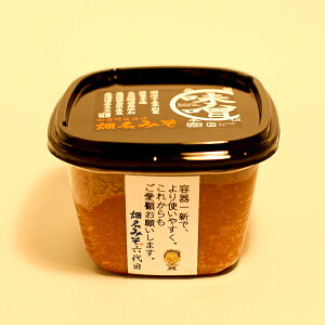 Ɠ`̎薡X@݂ 700g