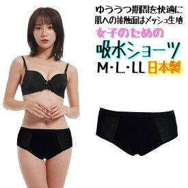 【メール便送料無料】 女子のための吸水ショーツ(メッシュタイプ) サニタリーショーツ 吸水 吸水サニタリーショーツ 吸水ショーツ サニタリー 生理 女性 レディース シンプル 失禁ショーツ 吸水 日本製 オススメ おすすめ 人気 M L LL