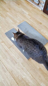 Li{[܂Ƃ L܂Ƃ L߂Ƃ pbgpi pbg ܂Ƃ ߂Ƃ L CeA i{[ IWi LV lR܂Ƃ ˂܂Ƃ { Y v[g vo ɂ₳