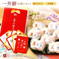 一升餅 紅白餅 1歳 お祝い セット 小分け 将来の才能や職業を占う選び取りカード付き 米どころ 新潟県 産…