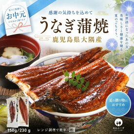 うなぎ 国産 蒲焼き 鹿児島 大隅産 特大 1尾 2尾 冷凍 ギフト