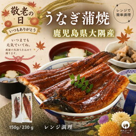 うなぎ 国産 蒲焼き 鹿児島 大隅産 特大 1尾 2尾 冷凍 ギフト