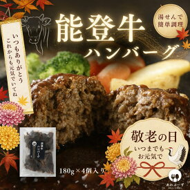 冷凍 能登牛 ハンバーグ 180g 4個 冷凍ハンバーグ 国産 ギフト 黒毛和牛ハンバーグ 粗挽きハンバーグ デミグラスソースハンバーグ お取り寄せ 温めるだけ 和牛ハンバーグ 牛肉 100％ デミグラスハンバーグ 牛ハンバーグ 高級 和牛