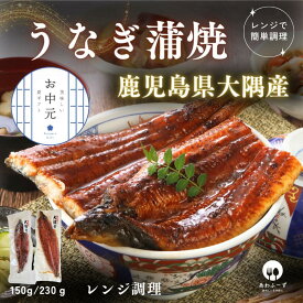 うなぎ ギフト 敬老の日 鹿児島 大隅産 国産 鰻 蒲焼き ウナギ 1尾 2尾 冷凍 うなぎ蒲焼 鰻ギフト 丑の日 特大 国産うなぎ蒲焼 冷凍うなぎ うなぎの蒲焼 うなぎ2尾 鹿児島県産 うなぎの蒲焼き 鰻蒲焼 5000円 プレゼント