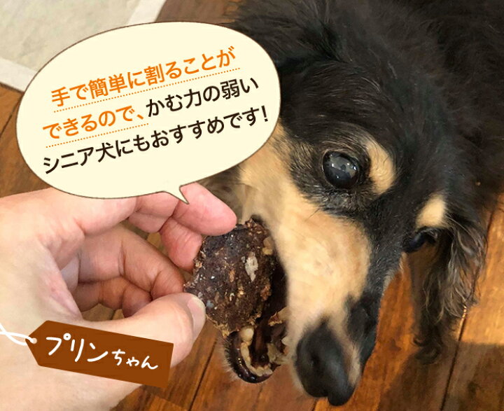 楽天市場 犬用 おやつ ジャーキー チップ 80g ワンちゃん イヌ いぬごはん 犬のおやつ 無添加 おやつ 国産 贅沢 鹿肉 シカ ジビエ オーガニック ダイエット サポート ドッグフード ペットフード ペット 老犬 元気 ふりかけ シニア パピー小型犬 中型犬 大型犬 あす楽