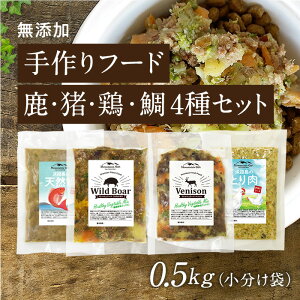 yt[h EE{E 4Zbg 0.5kg܁zY Y hbOt[h EFbgt[h  ͂ gbsO   ^ { 100g×5i×2E×1E×1E{×1j 