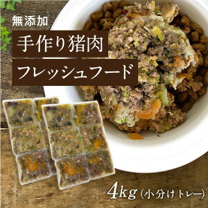 yCh{A ̎t[h 4kgg[zY Y hbOt[h EFbgt[h  ͂ gbsO   40g×96  N  hbOt[h EFbgt[