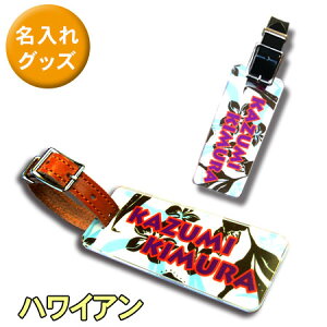 l[^O nCA ؕ ؂蔲 IWiL[z_[ St obO s X[cP[X D  l[v[g