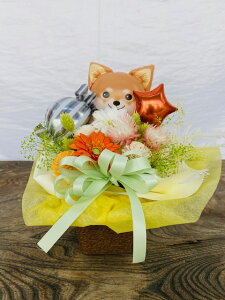 ���̋���n�������������ւ������v���U�A�h���C�A�\�[���[�t�����[etc�ƃo���[���̃A�����W�����g�y�b�g���{�E�����{