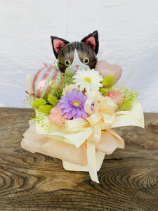 ̋njRւvUAhCA\[[t[etcƃo[̃AWgybg{EL{