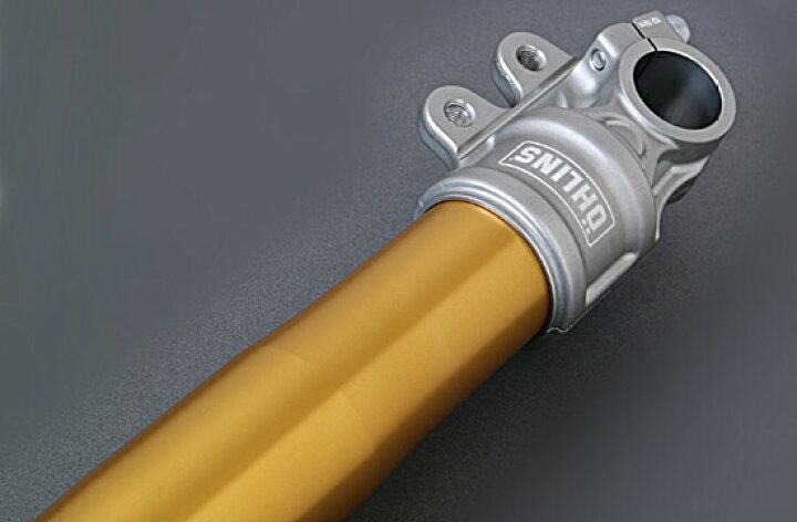 楽天市場】OHLINS オーリンズ 正立フロントフォーク RWU ゴールド 