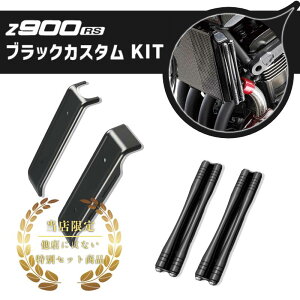 ARCHI & Kawasaki Z900RS/CAFE WG[^[TChbh×WG[^[TChJo[Zbg