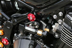 BabyFace xr[tFCX t[Lbv bh Z900RS '18