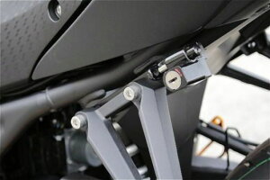 BabyFace xr[tFCX wbgbN YZF-R25 19