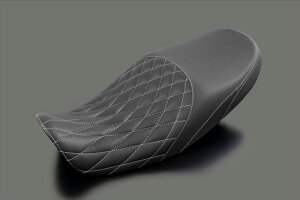 ARCHI A[L @Cp[V[g@O[@hbgp` Z900RS/CAFE '18-'25