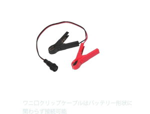 AZ BATTERY G[[bgobe[ ACH-21 jNbvP[u