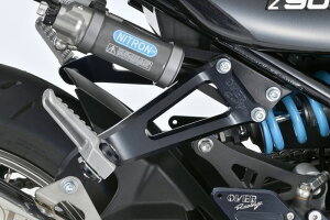 OVER I[o[ A~ ^fXe[ L/R ubN Z900RS