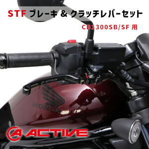 ACTIVE ANeBuyCB1300SB/SFpzSTFu[Lo[ & Nb`o[ ZbgyubNz