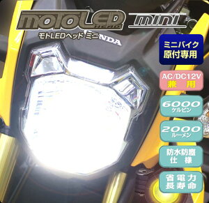 DELTA DIRECT f^_CNg MOTO LED wbh mini PH11 6000k 2000lmE~joCN/tp