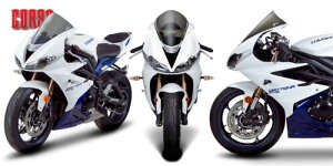 y󒍐Y 4zZEROGRAVITY [OreB XN[ RT X[N ubNrj[}XN TRIUMPH DAYTONA675 13-19