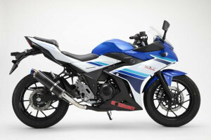 BEAMS r[X R-EVO XbvI}t[ J[{ GSX250R