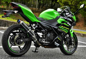 BEAMS r[X R-EVO XbvI}t[ J[{/dʁi3.3kgjF1.95kg jW400