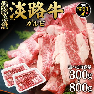 yzWH Jr 300/500/800g  Ԑg ēp WHY Y Y  ē Ă SăMtg 󂠂 v[g j j   Ε Ε ~Mtg