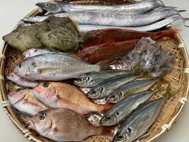 淡路島昼網鮮魚セット5種