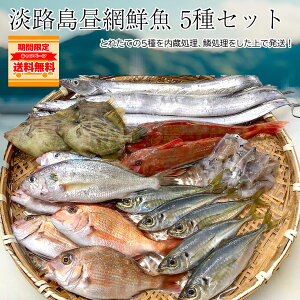 WHԑNZbg5 lߍ킹 N{bNX Zbg NZbg N  WH WH