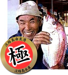 y` hgpzWHRǎYߋɏVR900`1kg