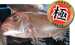 yzznł荢S\񐧁uWHRǎYōVRv@1D5kgi1D4`1D6kg炢̊ԂɂȂ܂j@@@@yyMt_̂zyyMt_bŹz