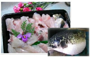 @Y`yɂzWH2NƂӂۂ1gp!yӂZbg2`3lOz