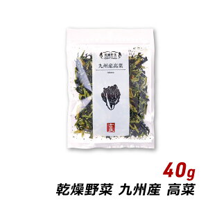  Y BY  40g Y  X`̋ ݂`̋ a T_ uߕ u gǐHi [ 