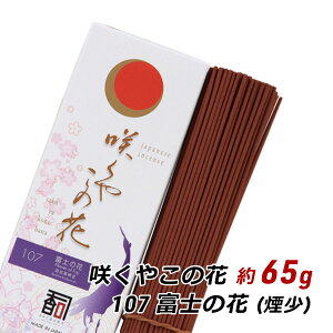   A} WĤ 炭₱̉ 107 - xm̉ 65g  Y i A} g Yn [ 