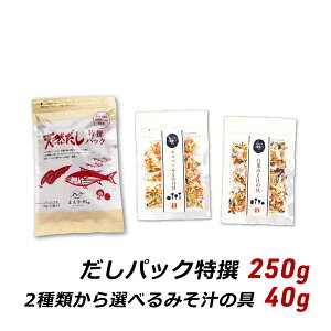 だしパック 特撰 10g×25袋+選べるみそ汁の具セット 国産 乾燥野菜 味噌汁の具 みそ汁の具 マエカワテイスト 吉良食品 送料無料