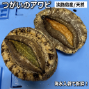 【つがいのアワビ】【夫婦アワビ】淡路産天然あわび赤アワビ1個と黒アワビ1個の合計2個セット（活き アカアワビ・クロアワビ）【楽ギフ_のし】【お中元】【ギフト】【父の日】【母の日】【販売期間：通年】