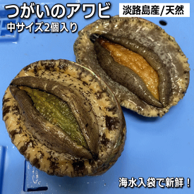 【つがいのアワビ】【夫婦アワビ】淡路産天然あわび赤アワビ1個と黒アワビ1個の合計2個セット（活き アカアワビ・クロアワビ）【楽ギフ_のし】【お中元】【ギフト】【父の日】【母の日】【販売期間：通年】
