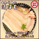 【送料無料】淡路産活はも丸ごと1本500g〜600gサイズ【2人前】【発送日調理】【配送日指定可】【smtb-k】【kb】【楽ギフ_のし】【ギフト対応】※北海道... ランキングお取り寄せ