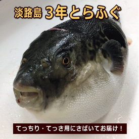 楽天市場 フグ 産地 都道府県 兵庫 魚介類 水産加工品 食品 の通販