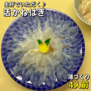 WHYVR͂iE}Y)Â蒍FkCEEkkiXEHcEj2zn͂͂si܂ÂE甍EnʁEnMjy̔ԁF10`5z