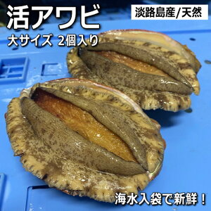 WHYVRԂсijiԃArEAJArjyyMt_̂zyzyMtgzy̔ԁFʔNzy̓zy̓z