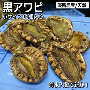 WHYVRсi)iArENArjyzyΕzyMtgzy̓zy̓zy̔ԁFʔNz